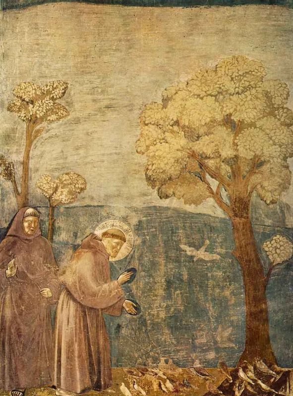 legend of st francis - [15] - sermon to the birds.jpg